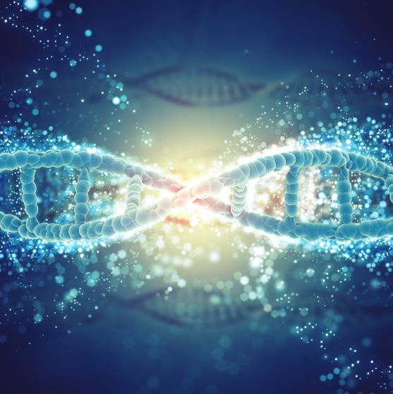 RNA 疗法蓄势待发，国产力量加速崛起
