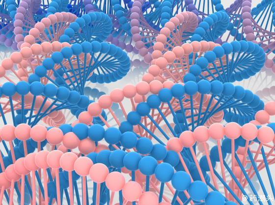 RNA 疗法蓄势待发，国产力量加速崛起