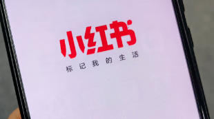 ​双十一家电大考，小红书做好准备了吗？