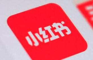 ​双十一家电大考，小红书做好准备了吗？