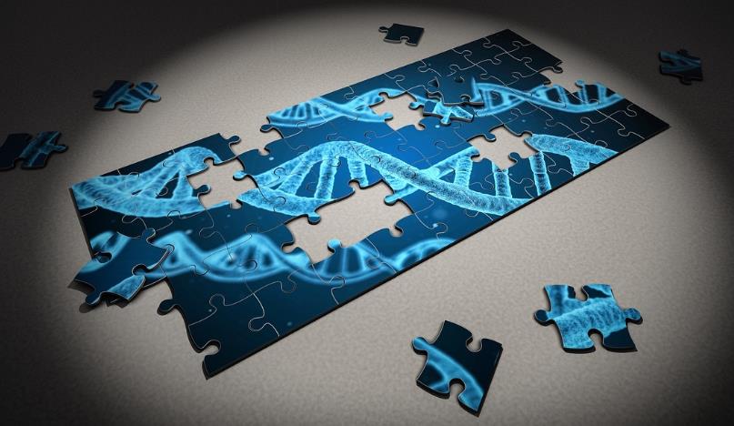 重磅降脂药博弈：PCSK9抑制剂竞争格局几何？